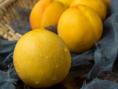 开云棋牌APP下载基地展示五